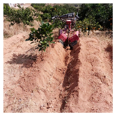 Мощный бензиновый двигатель Orchard Tiller Weeder для 145 * 62 * 85 см Orchard Management