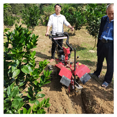 Мощный бензиновый двигатель Orchard Tiller Weeder для 145 * 62 * 85 см Orchard Management