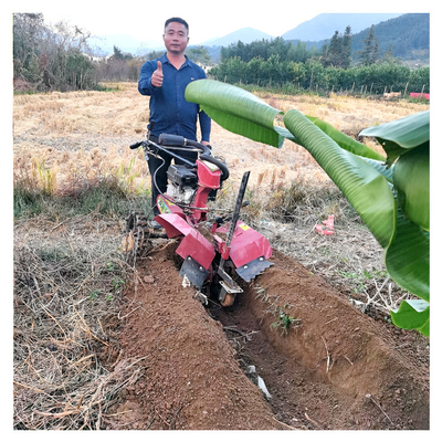 Мощный бензиновый двигатель Orchard Tiller Weeder для 145 * 62 * 85 см Orchard Management