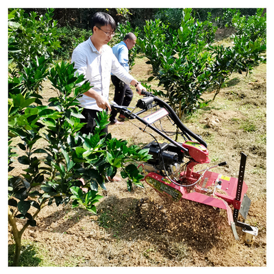 Мощный бензиновый двигатель Orchard Tiller Weeder для 145 * 62 * 85 см Orchard Management
