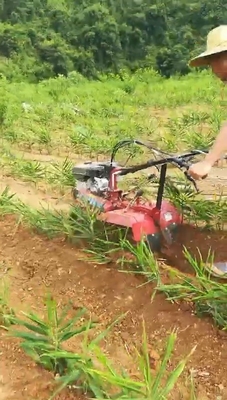 Orchard Small Tractor Tiller с бензиновой силовой установкой