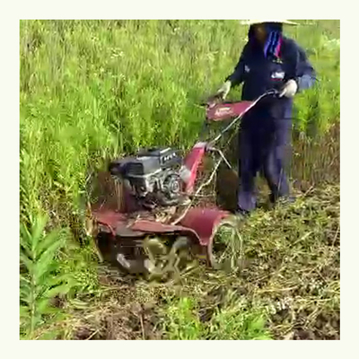 Трансмиссия 4WD Малая мощность Ротационный тилер Сельскохозяйственная техника Оборудование для риса