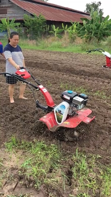 170F 7HP 4.05KW Передвижная коробка передач Ручной запуск Мини-моторная коробка с высоким уровнем безопасности